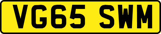VG65SWM