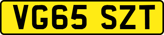 VG65SZT