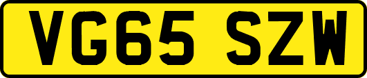 VG65SZW