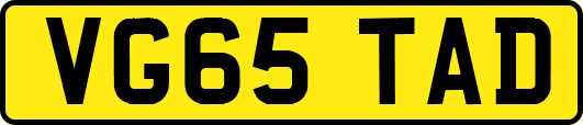 VG65TAD