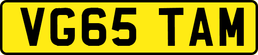 VG65TAM
