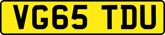 VG65TDU