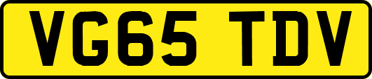 VG65TDV