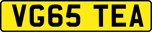 VG65TEA