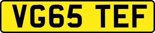 VG65TEF