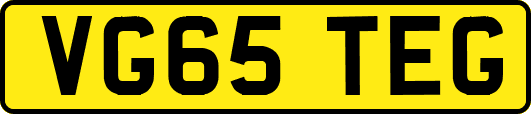 VG65TEG