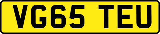 VG65TEU