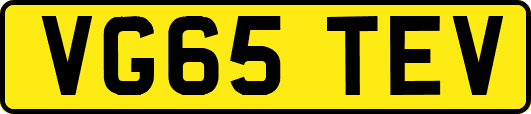 VG65TEV