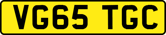 VG65TGC