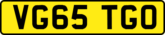VG65TGO