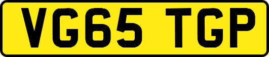 VG65TGP