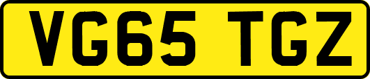 VG65TGZ