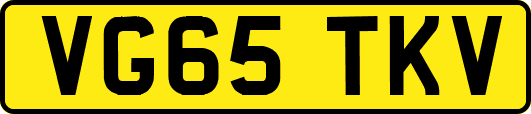 VG65TKV