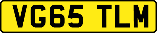 VG65TLM