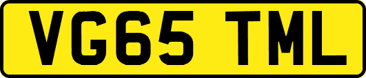 VG65TML