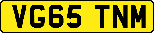VG65TNM