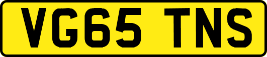 VG65TNS