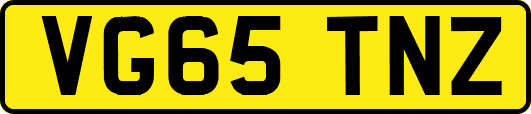 VG65TNZ