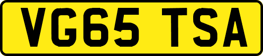 VG65TSA