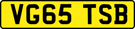 VG65TSB