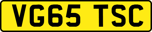 VG65TSC