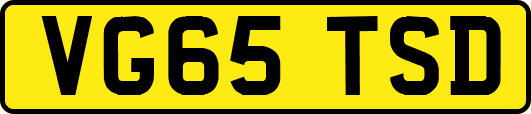 VG65TSD