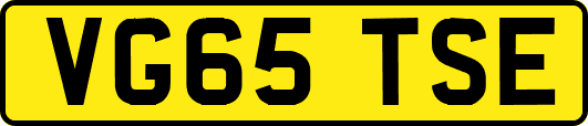 VG65TSE