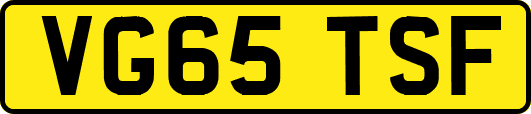 VG65TSF
