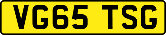 VG65TSG