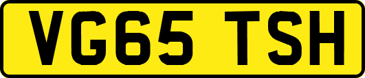 VG65TSH