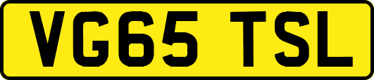 VG65TSL