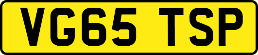 VG65TSP