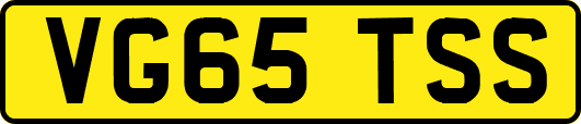 VG65TSS