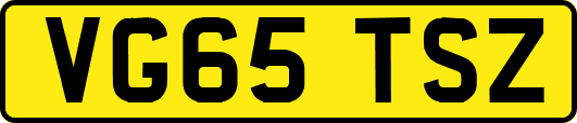 VG65TSZ