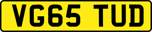 VG65TUD
