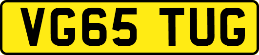 VG65TUG