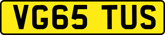 VG65TUS