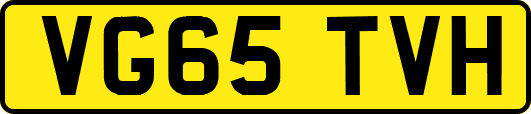 VG65TVH