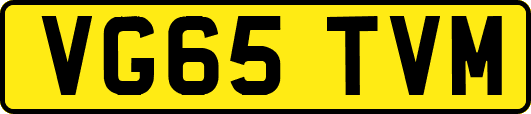 VG65TVM