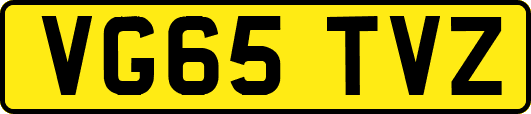 VG65TVZ
