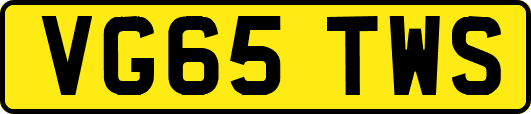 VG65TWS