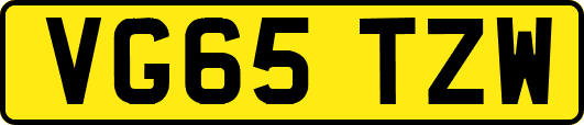 VG65TZW
