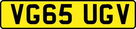 VG65UGV