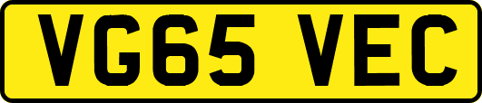 VG65VEC