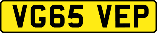 VG65VEP