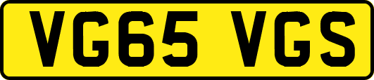 VG65VGS