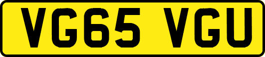 VG65VGU