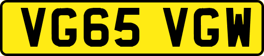 VG65VGW