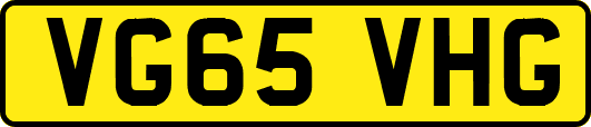 VG65VHG
