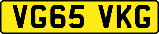 VG65VKG